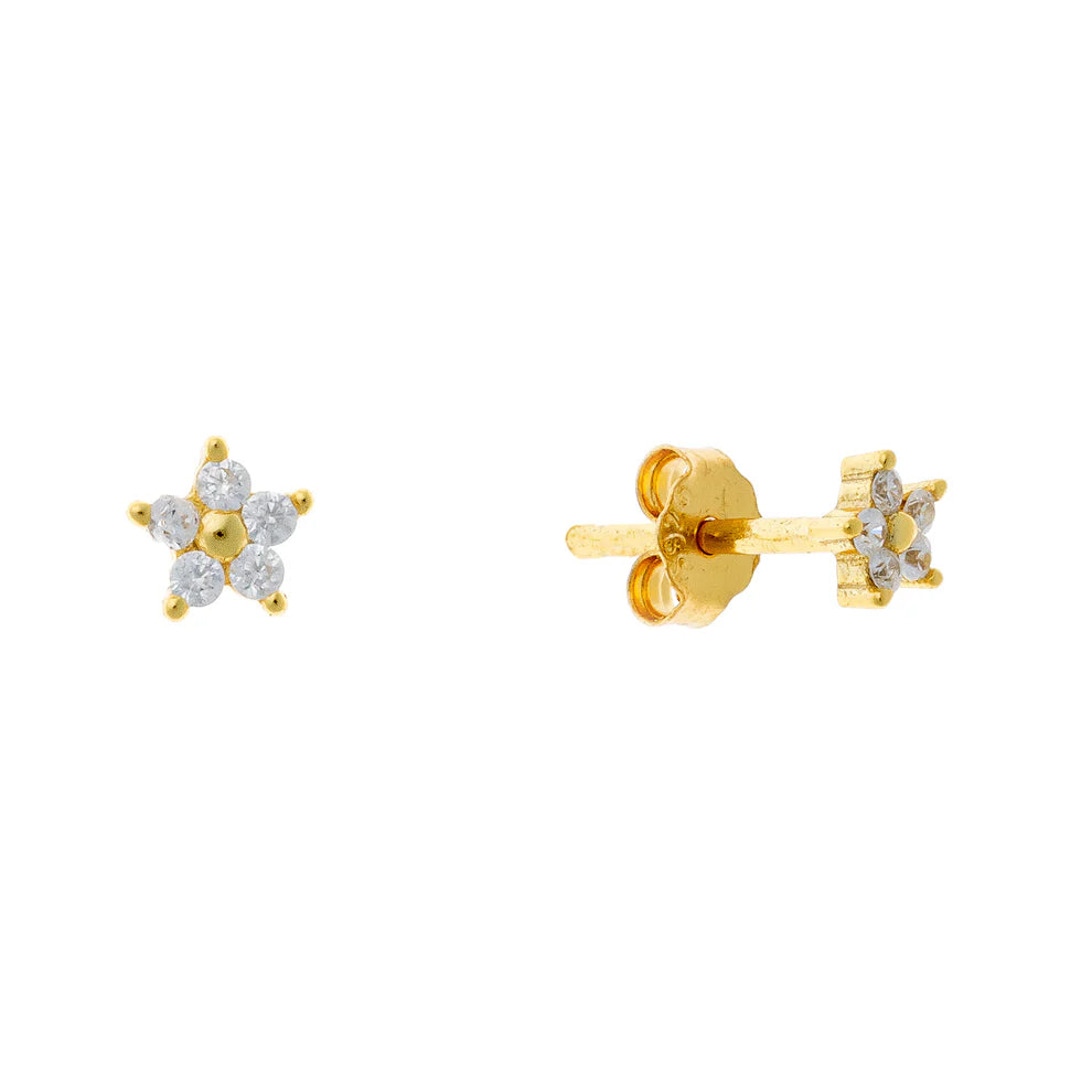 Pendientes de plata de ley con forma de flor de circonita cúbica