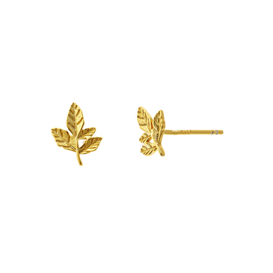 Pendientes de hoja de plata de ley
