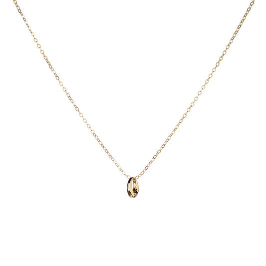 Collar con Anillo de Plata de Ley
