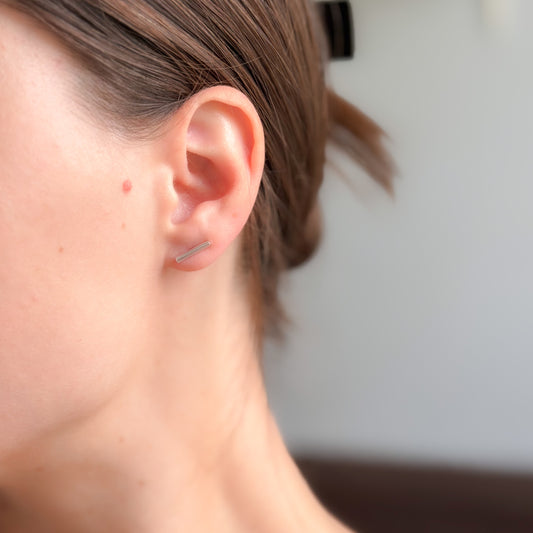 Pendientes de Plata de Ley